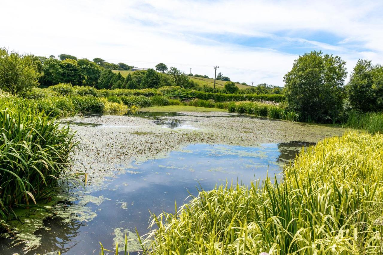 Ta Mill Holiday Cottages & Lodges -Ta Mill House Launceston Ngoại thất bức ảnh